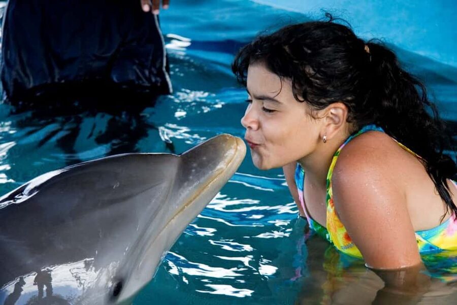 Puerto Plata: Dolphin Encounter at Ocean World - Why this dolphin encounter works for non-swimmers and kids