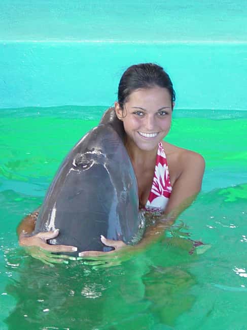 Puerto Plata: Dolphin Encounter at Ocean World - Tropical Reef Aquarium snorkeling: lots of fish, controlled expectations