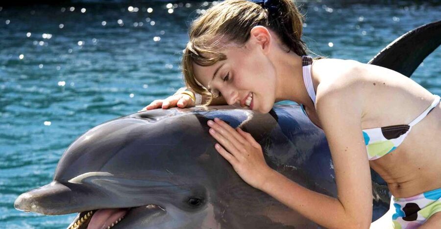 Puerto Plata: Dolphin Encounter at Ocean World - Price and value: what $129 buys you in a full-day park