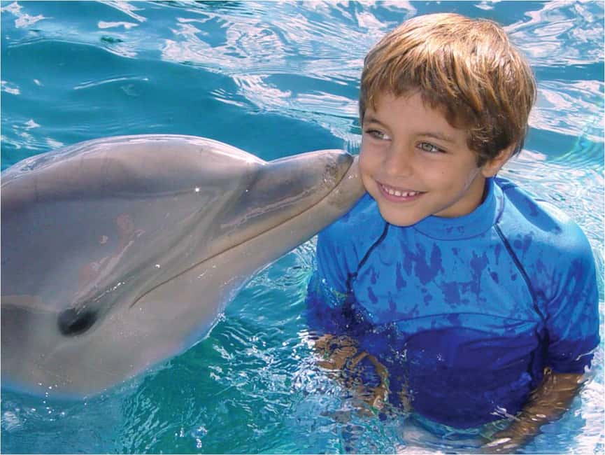 Puerto Plata: Dolphin Encounter at Ocean World - Ocean World’s day pass: more than just dolphins