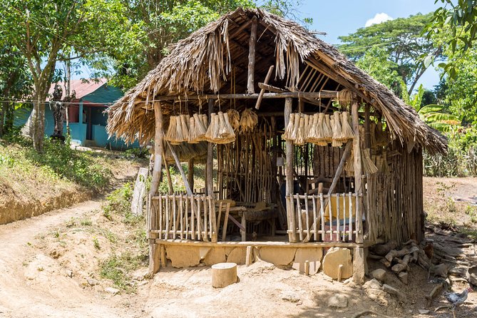 Puerto Plata: Escapada Cultural Tour in Puerto Plata - The “cultural” part you can actually taste in Puerto Plata