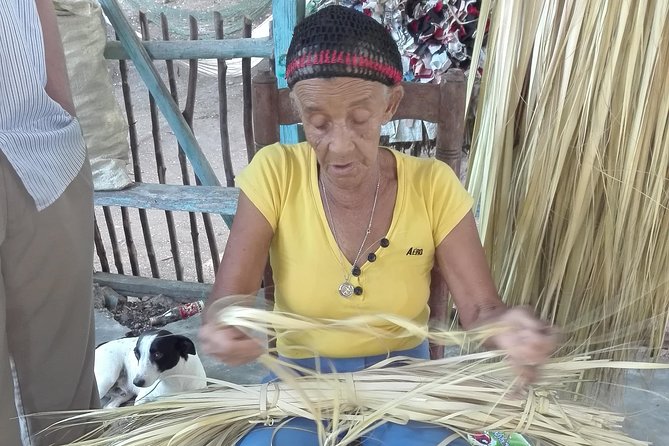Puerto Plata: Escapada Cultural Tour in Puerto Plata - Imbert cheese factory and the traditional-family angle