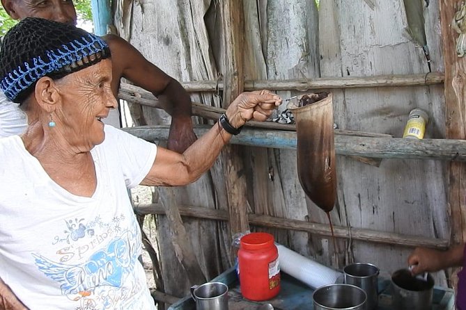 Puerto Plata: Escapada Cultural Tour in Puerto Plata - The 8-hour flow: bread and artisans to cacao, cigars, and cheese