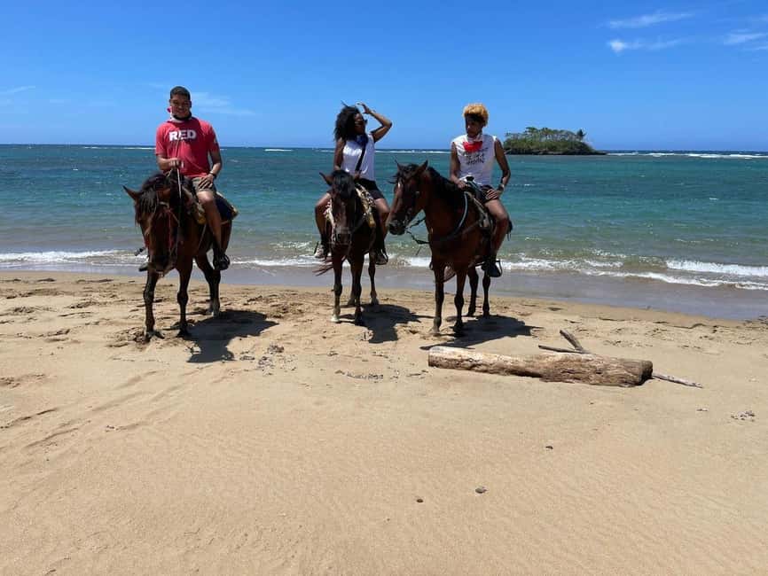Puerto Plata: Horseback Riding Tour - Key highlights worth planning for