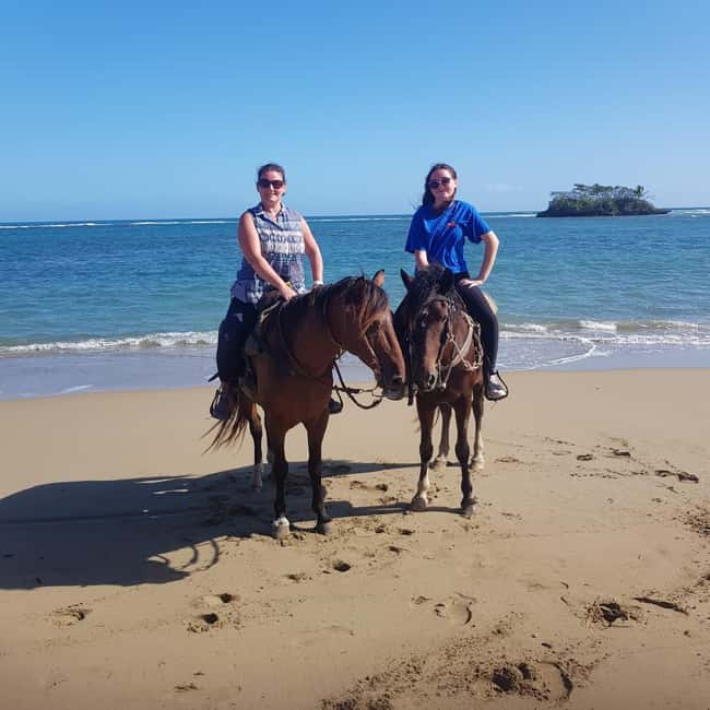 Puerto Plata: Horseback Riding Tour - Getting to the horses: pickup in Puerto Plata and cruise-port timing