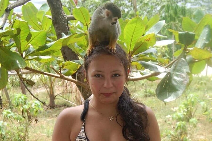 Puerto Plata: Monkey Tour, Fortress, and Historic Center - San Felipe Fortress: sea views plus a real sense of time