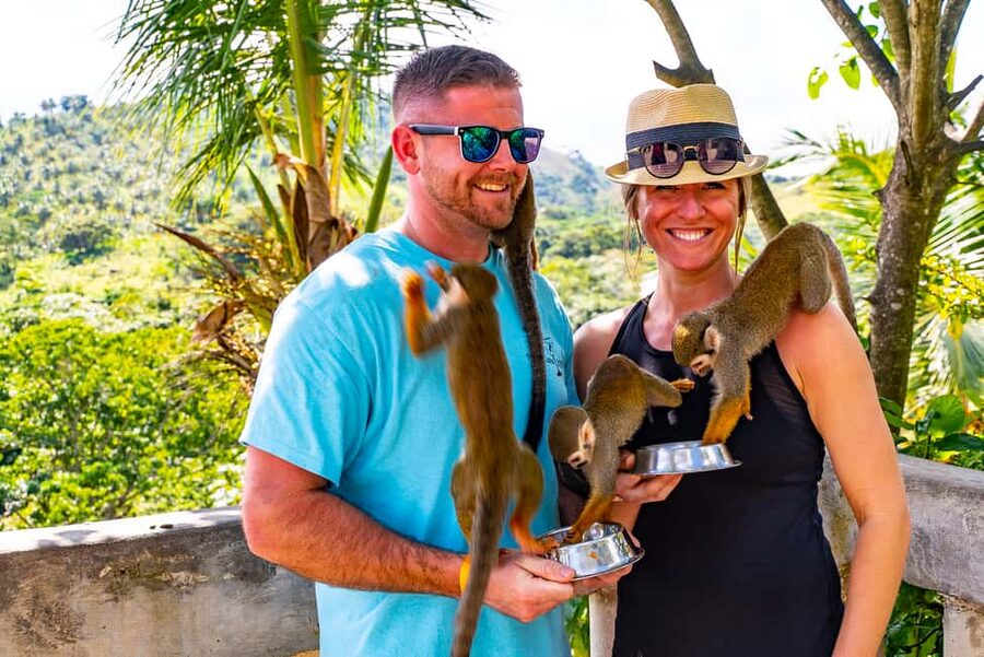 Puerto Plata: Monkeyland and Zip-Line Adventure - Key things to know before you go