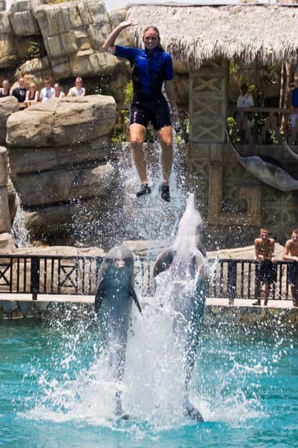 Puerto Plata: Ocean World Adventure Park Day Pass - Key things you will like most