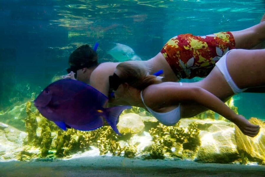 Puerto Plata: Ocean World Adventure Park Day Pass - Tropical Reef Aquarium Snorkel: Fun, But Treat It Like Any Water Activity