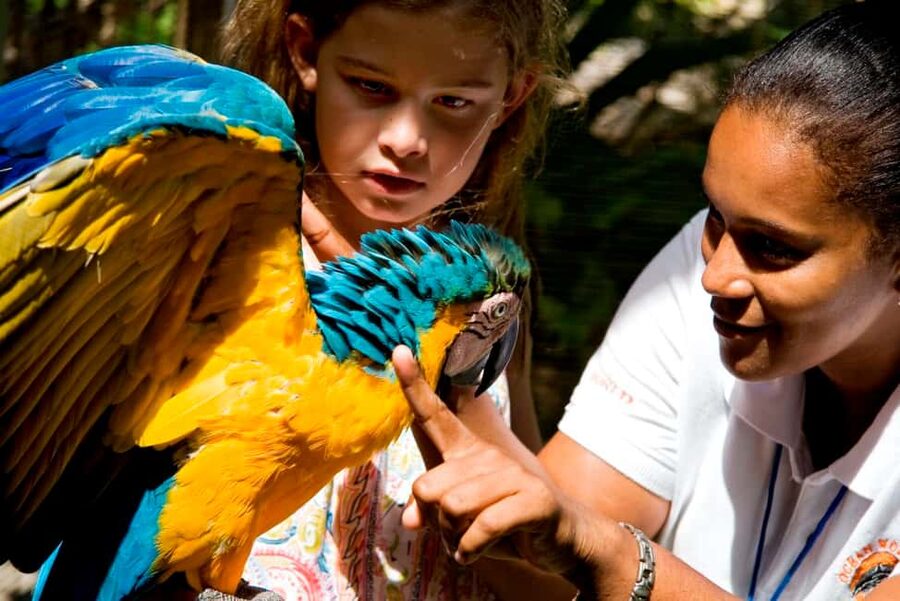 Puerto Plata: Ocean World Adventure Park Day Pass - Budget and Value: Is $79 Worth It for You?