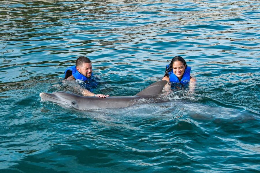 Puerto Plata: Ocean World Adventure Park Swim with Dolphins - Ocean World Puerto Plata VIP: What you’re really buying