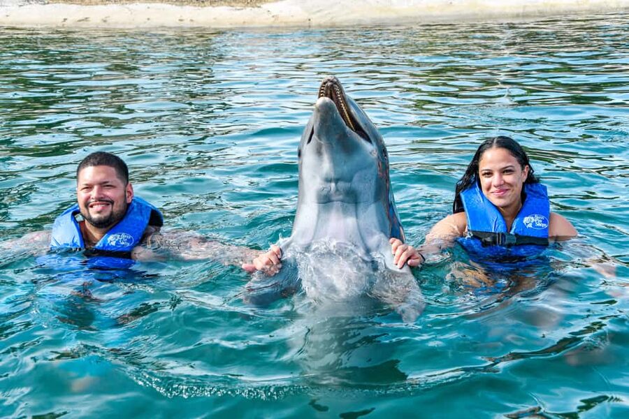 Puerto Plata: Ocean World Adventure Park Swim with Dolphins - The dolphin moment: kiss, hug, lagoon ride, and the reality check on time