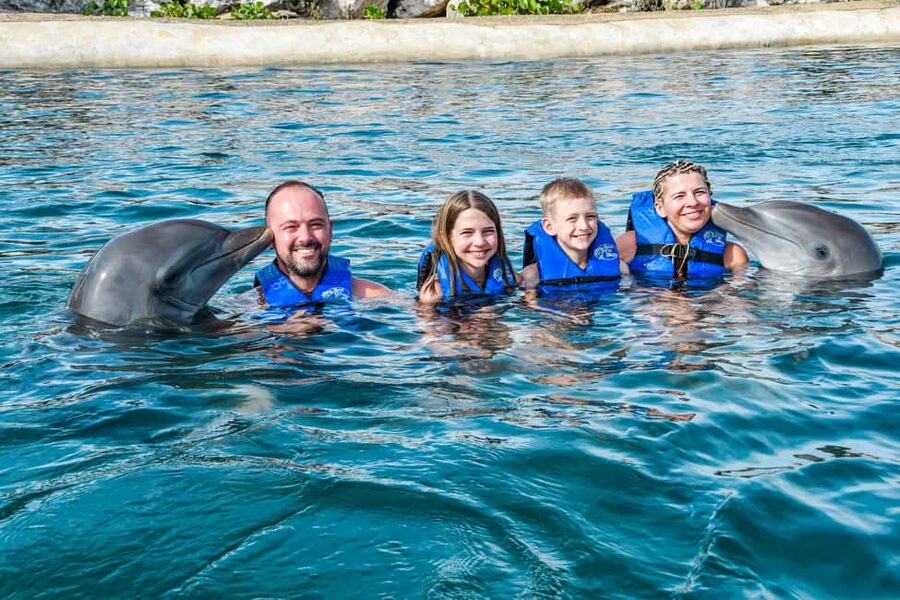 Puerto Plata: Ocean World Adventure Park Swim with Dolphins - Checking in smart: fast pass, towels, lockers, and the pre-water briefing