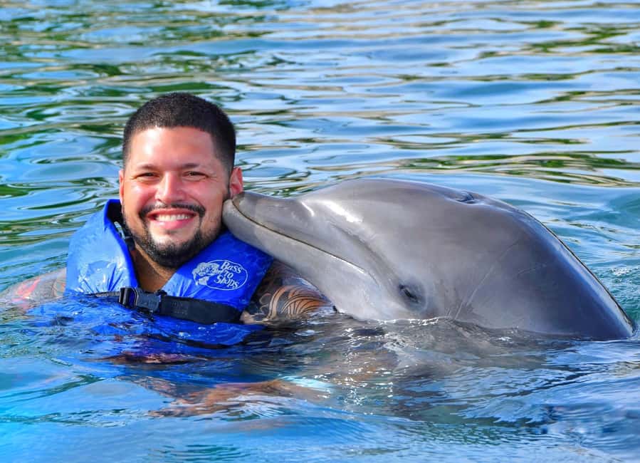 Puerto Plata Ocean World Dolphin Swim - Dolphin Swim in Puerto Plata: What the 30 Minutes Feels Like
