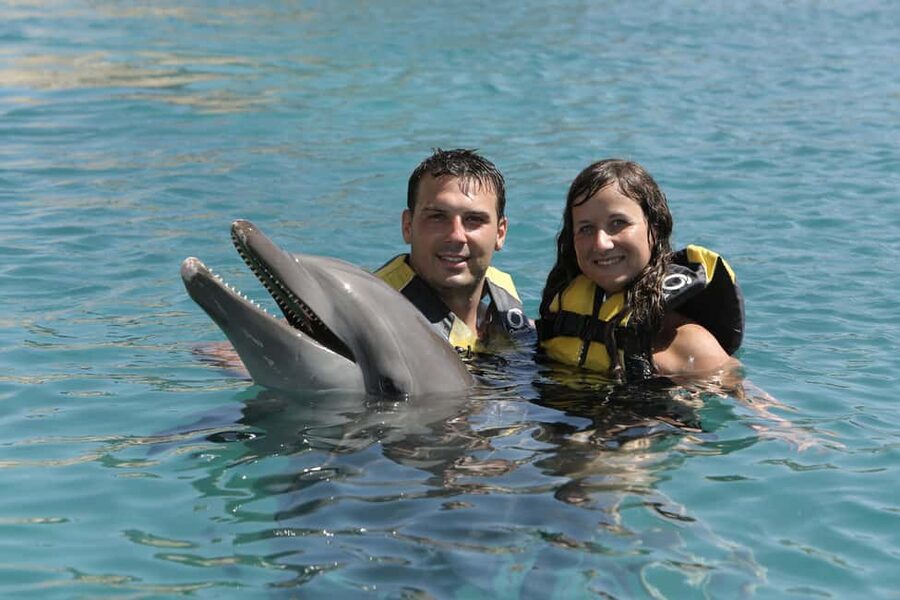 Puerto Plata Ocean World Dolphin Swim - Ocean World Day Pass: Snorkeling, Shows, Rainforest, and Waterslides