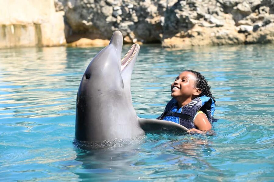 Puerto Plata Ocean World Dolphin Swim - Orientation, Hand Signals, and Positive Reinforcement: Why You Should Pay Attention