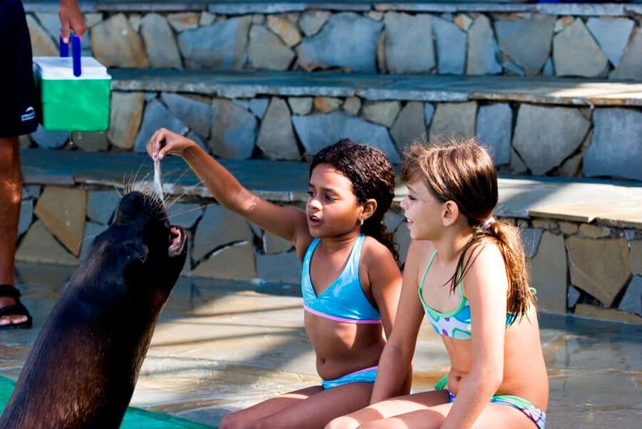 Puerto Plata Ocean World Tickets - Ocean World Puerto Plata: A full day built around interaction