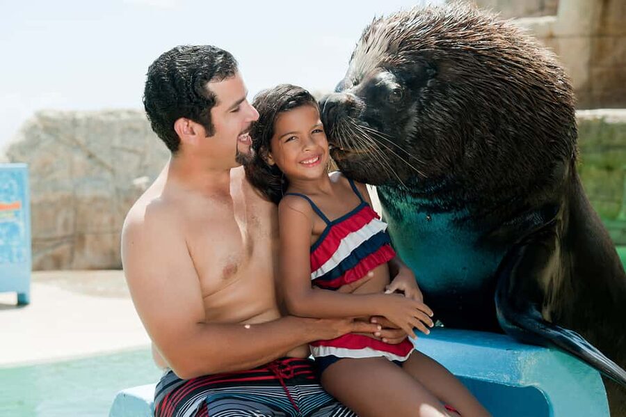 Puerto Plata Ocean World Tickets - The Patagonian sea lion encounter: why this is the main event