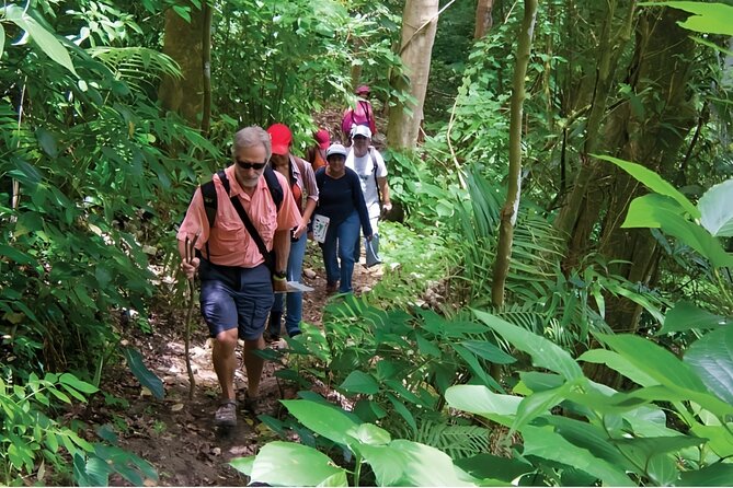 Puerto Plata Rejoya River Excursion Amber Cove Taino Bay Hotels - Morning Start in Puerto Plata: Pickup, Timing, and Your First Win