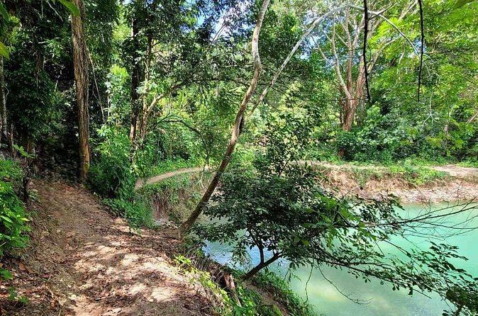 Puerto Plata Rejoya River Excursion Amber Cove Taino Bay Hotels - Why This Feels Less Touristy: Forest Pace and Fewer People Per Moment