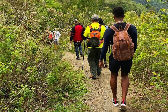 Puerto Plata Rejoya River Excursion Amber Cove Taino Bay Hotels - Who This Tour Fits Best (and Who Might Want to Skip It)