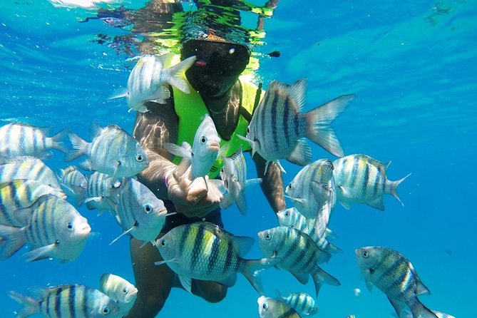 Puerto Plata Shore Excursion, Snorkeling tour & Sosua Beach Day - Puerto Plata and Sosua: A Shore Excursion That Works Like a Mini Getaway