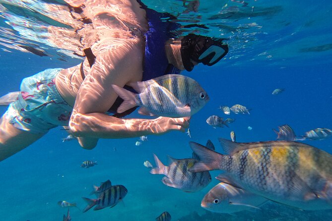 Puerto Plata Shore Excursion, Snorkeling tour & Sosua Beach Day - Crew and Service: Where the Tour Gets Strong