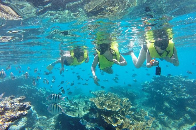 Puerto Plata Shore Excursion, Snorkeling tour & Sosua Beach Day - Price and Value: Is $65.55 a Smart Cruise-Day Deal?