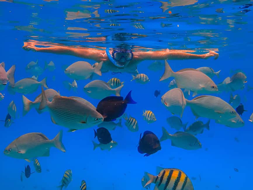 Puerto Plata: Snorkeling Excursion to Sosúa beach - Key takeaways