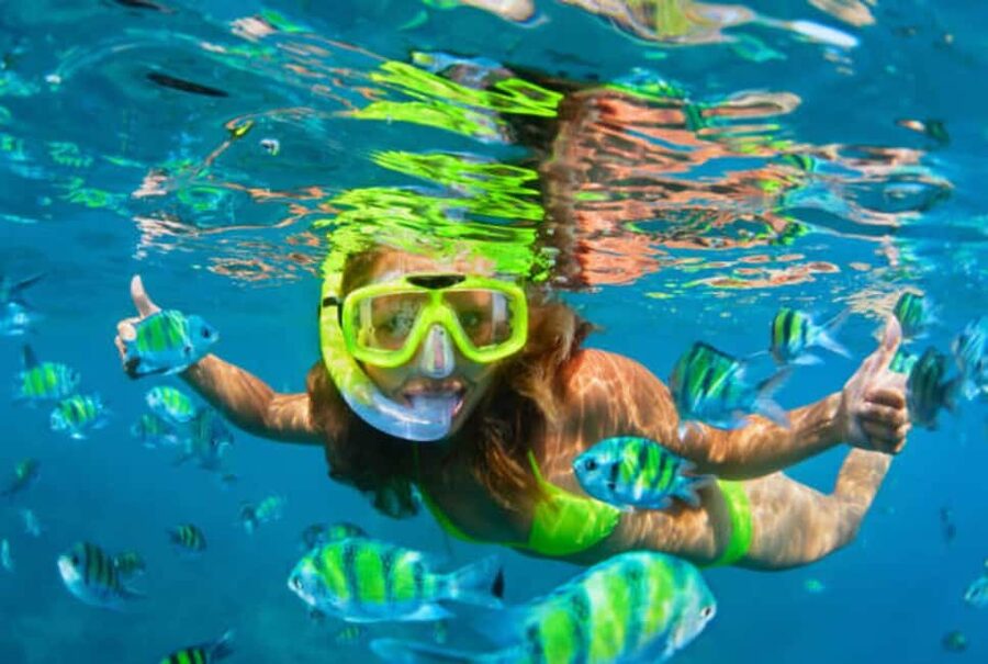 Puerto Plata: Snorkeling Excursion to Sosúa beach - Getting to Sosúa: port pickup, quick transfers, and local handling