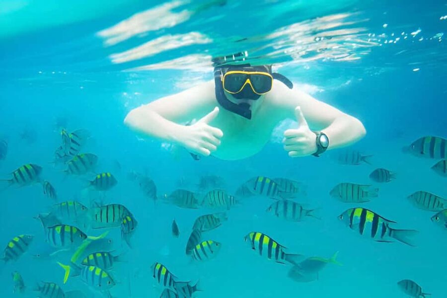 Puerto Plata: Snorkeling Excursion to Sosúa beach - Sosúa Bay snorkeling: two reef spots, lots of fish, and shallow water time