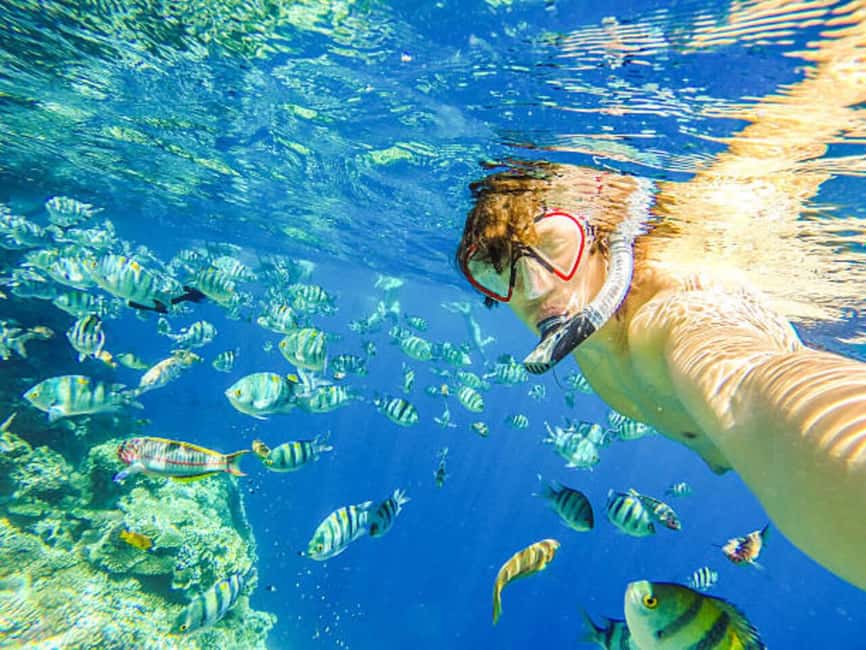 Puerto Plata: Snorkeling Excursion to Sosúa beach - Boat to reef: how the ride sets you up for snorkeling