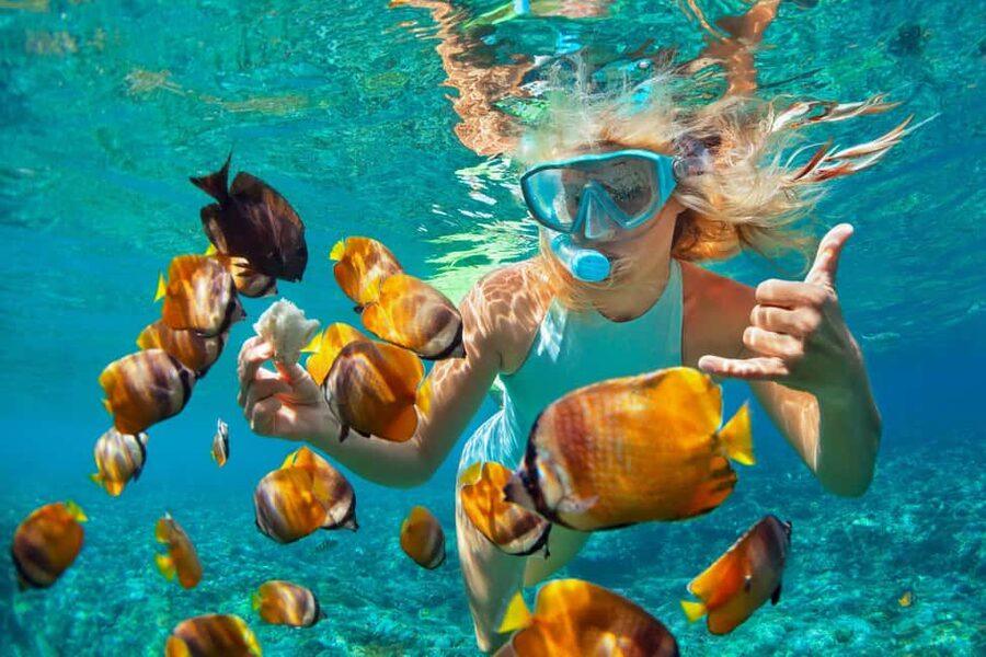 Puerto Plata: Sosúa Catamaran Day Trip with Lunch and Drinks - Tip Top Catamaran party mode: music, crew, and the open-bar payoff