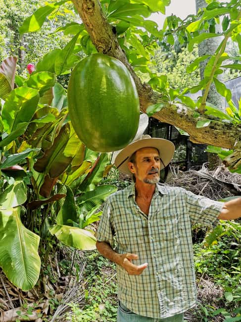 Puerto Plata: Taino Valley and Dominican Flavor Experience - Fruit tasting that actually tastes like the island