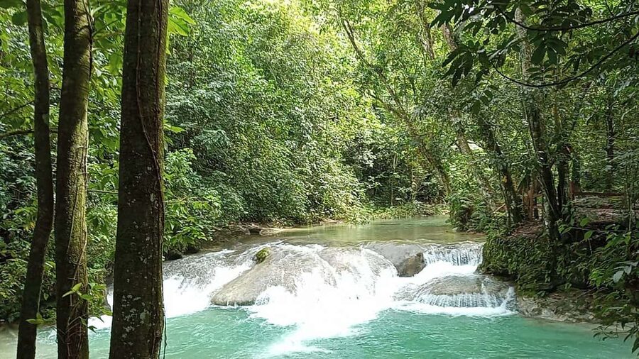 Puerto Plata: Taino Valley and Dominican Flavor Experience - Coffee demos: from the plant to your cup