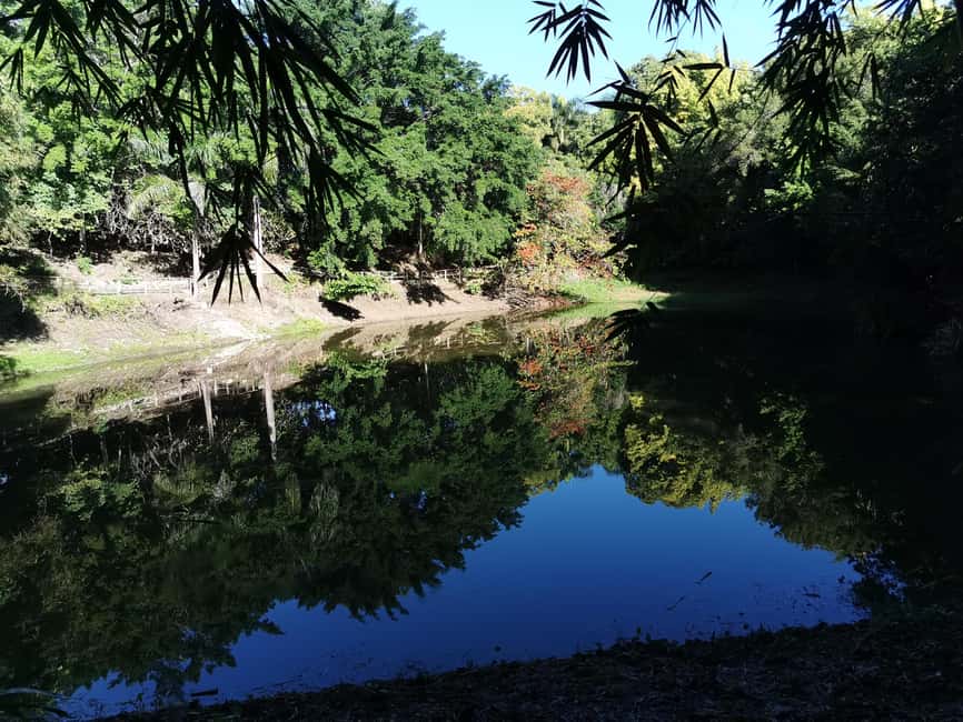 Puerto Plata: Taino Valley and Dominican Flavor Experience - Who should go, and who should skip it