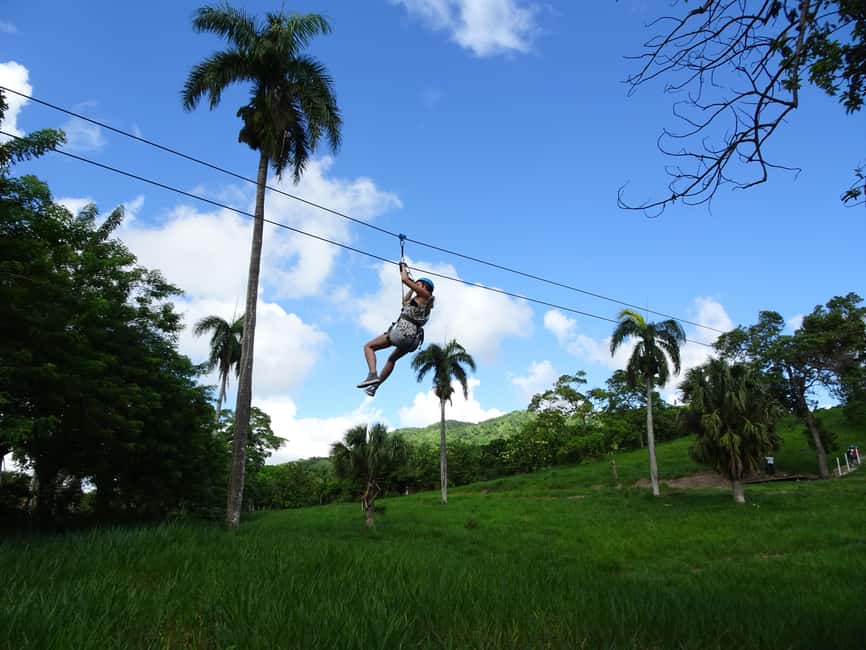 Puerto Plata: Zip Line Adventure - Price and logistics: what you’re really getting for $74