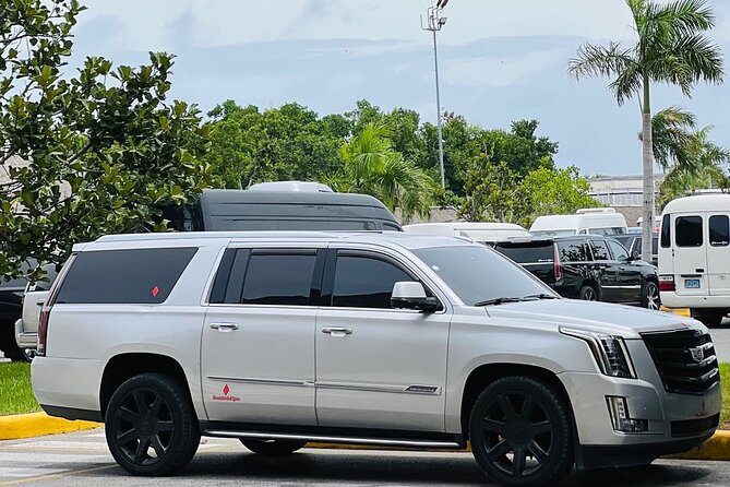 PUJ-Bavaro/Punta Cana (ONE WAY) LUXURY - Meet-and-Greet That Handles Luggage and Timing