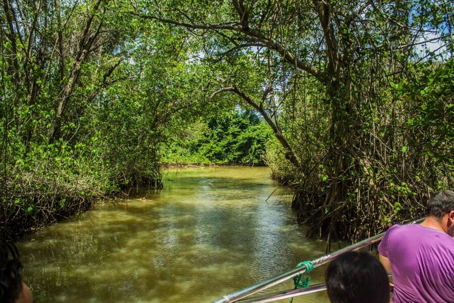 Punta Cana: 3-in-1 Adventure Haitises Park Waterfall Montaña - Should you book this Punta Cana 3-in-1 Haitises, Yanigua, and Montaña Redonda tour?