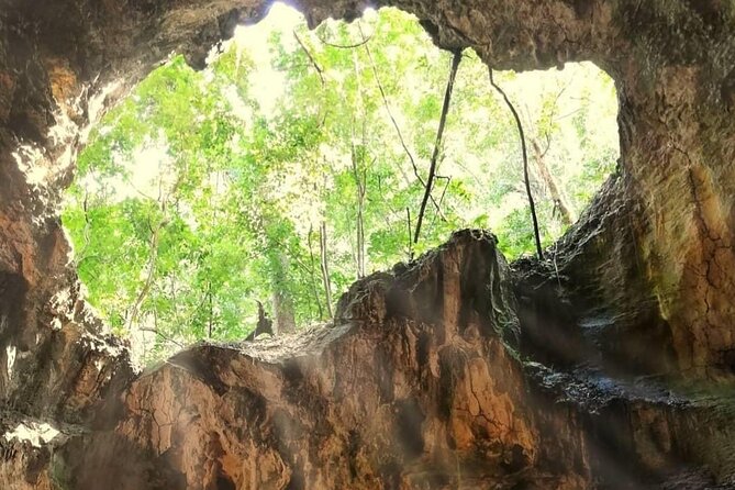 Punta Cana 3in1 Adventure: Los Haitises Park, Waterfall & Montaña - The Guide Makes It: Suzi, Henry, Joel, and the Local Storytelling Style