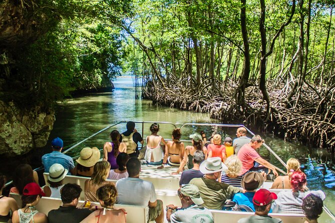 Punta Cana 3in1 Adventure: Los Haitises Park, Waterfall & Montaña - Price and Value for $139: What You’re Really Paying For