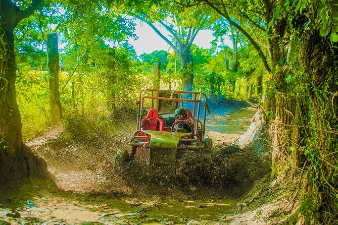 Punta Cana 4 Hours Buggy Tour Cave Macao Beach Free Pick Up - Macao Beach break: why the timing matters