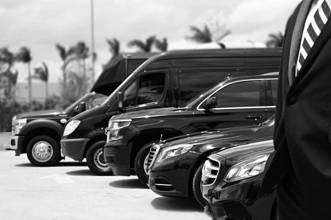 Punta Cana Airport Pick Up - Hotel Transportation Service - Quick take: airport pickup that keeps things simple