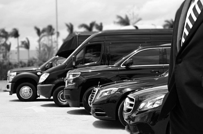 Punta Cana Airport Pick Up - Hotel Transportation Service - Who this Punta Cana pickup is best for