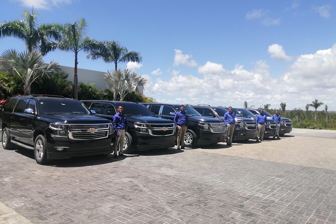 Punta Cana Airport to La Romana and Bayahibe Hotels (up to 70 km) - Private transfer basics: what you’re really buying