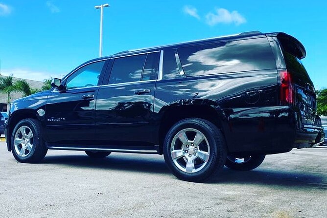 Punta Cana Airport Transfer Bavaro Suburban Trip - How the Transfer Works on the Way In and on the Way Back