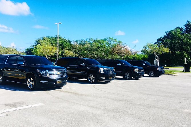 Punta Cana Airport Transfer Bavaro Suburban Trip - Should You Book Tropical Dominican Transfer?