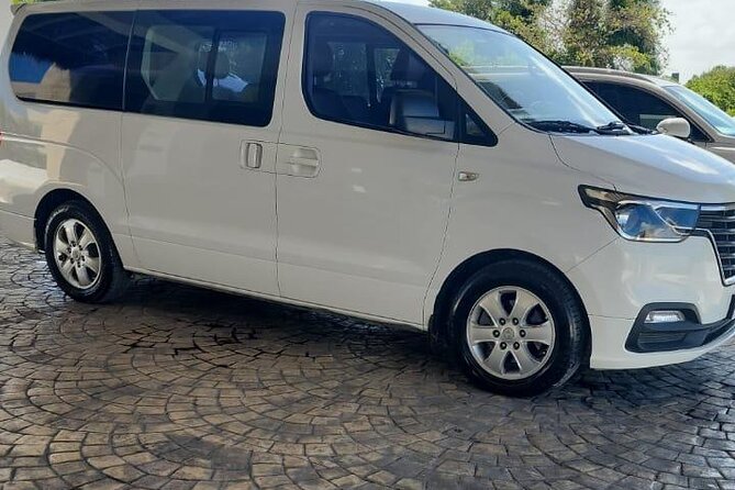 Punta Cana Airport Transfer Bavaro Van - The Airport Pickup: Meet-and-Greet, Not Guesswork