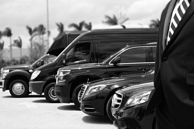 Punta Cana Airport Transfers - Why a Punta Cana airport transfer beats taxi chaos