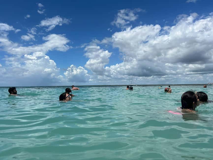 Punta Cana: All Inclusive Saona Island Experience - Who this tour suits best (and who should skip it)